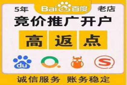 搜索引擎营销（SEM）竞价策略案例